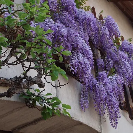 Hébergement de vacances Mentrel Champ-le-Duc