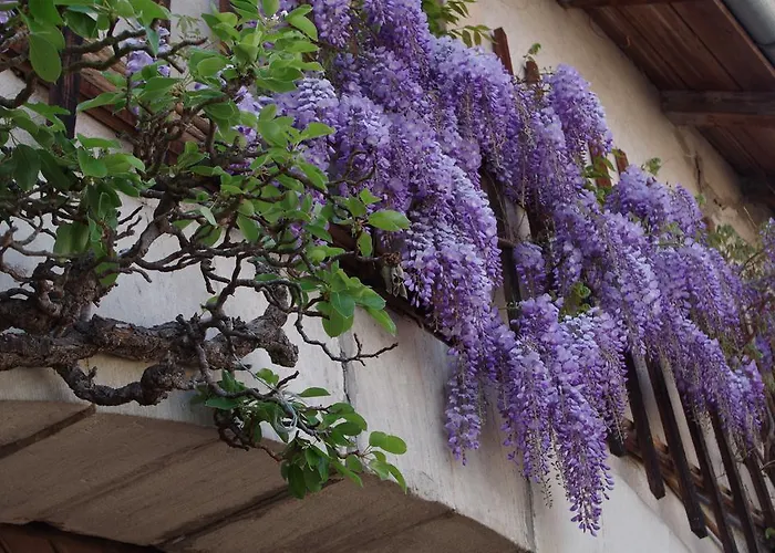 Dom wakacyjny Mentrel Champ-le-Duc